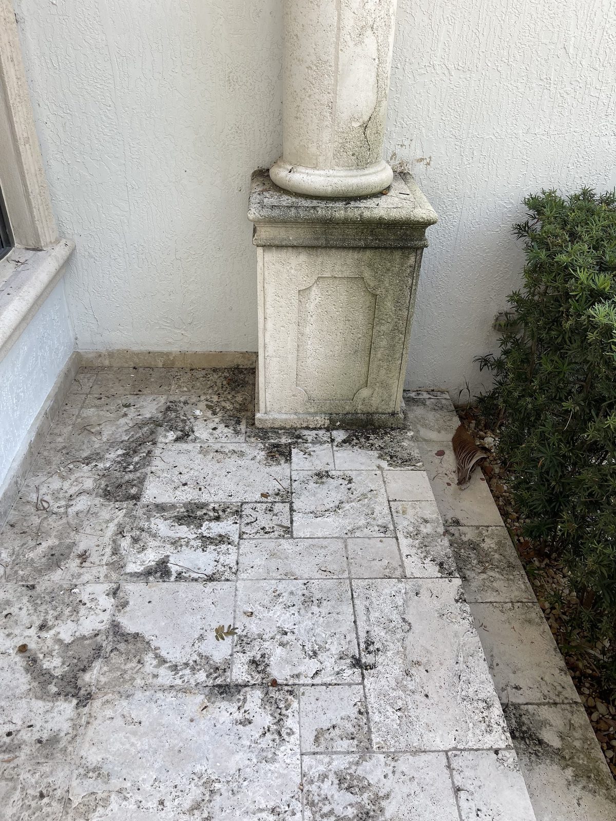 Travertine patio — before restoration