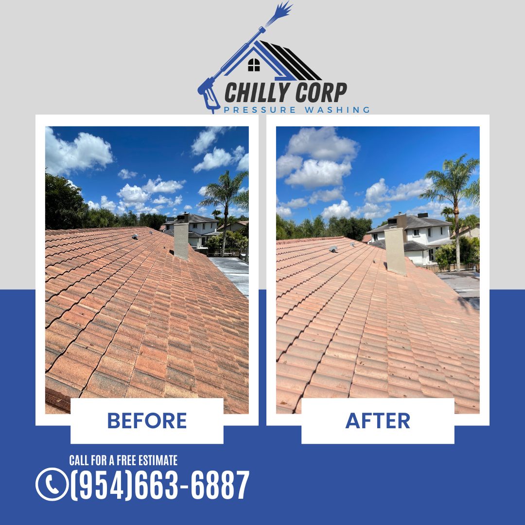 Before & after — tile roof soft wash