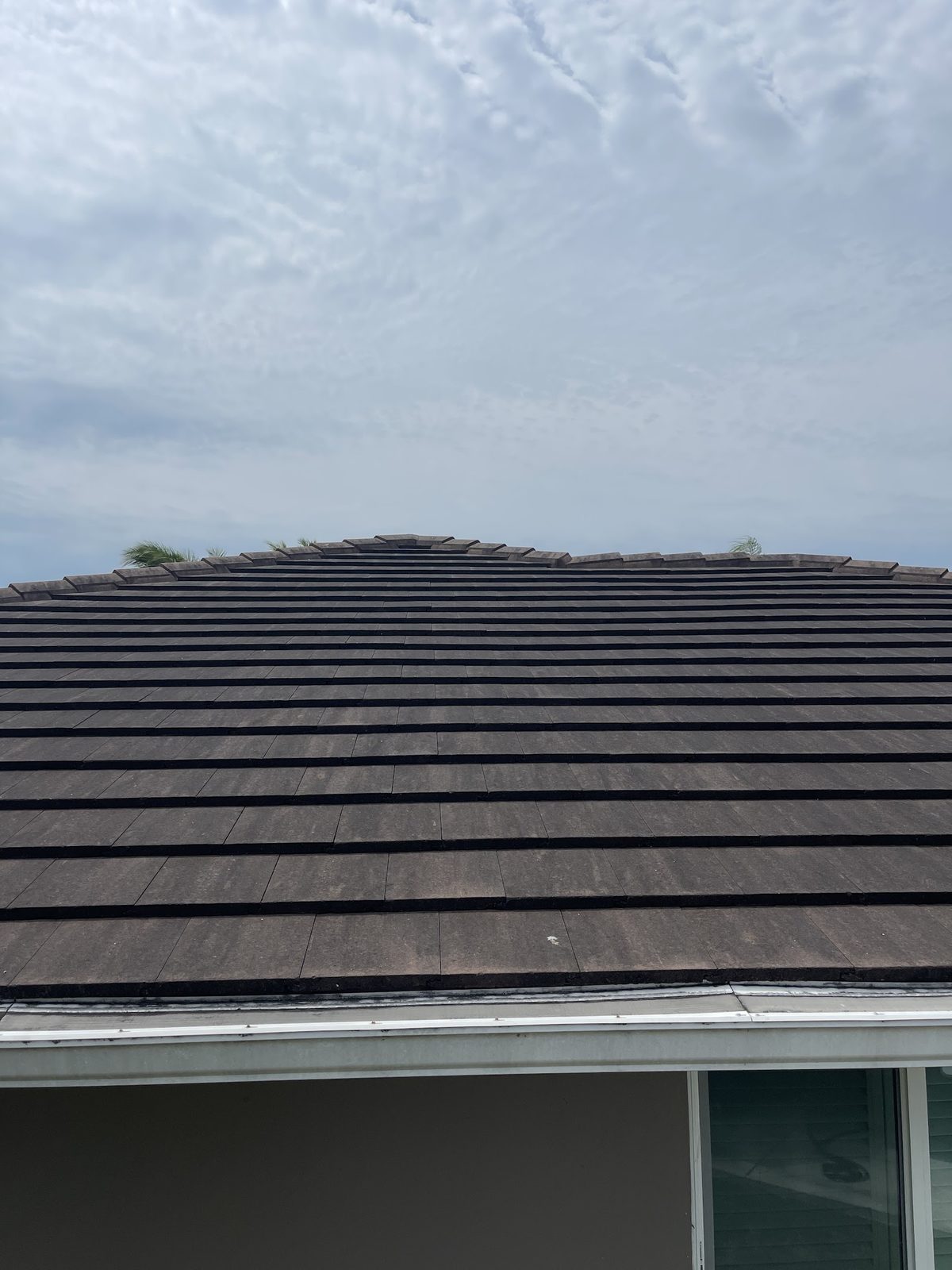 Dark shingle roof after a thorough soft wash